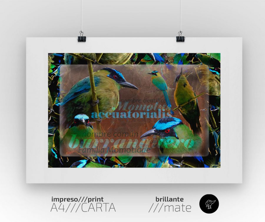 Impreso decorativo para interiores: Barranquero